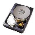 HGST 0A35772 - Disco Duro SATA (1 TB, 3,5 Pulgadas, 7200 SATA)