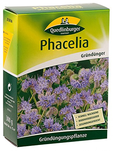 Quedlinburger 205806 Phacelia 300 g (Gründünger)