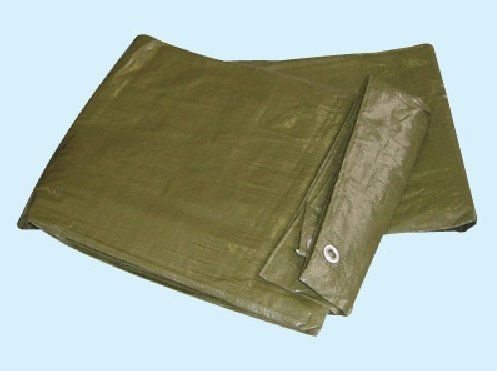 TELO TELONE DA COPERTURA OCCHIELLATO MT. 5 X 6.