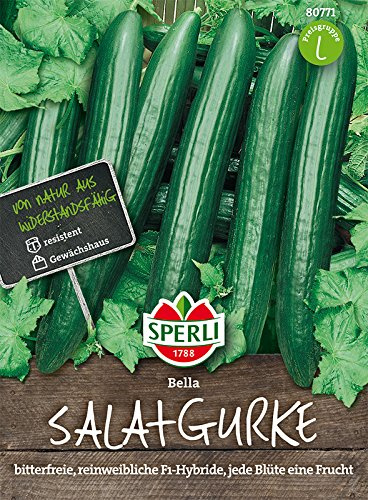 Salatgurke, Bella, F1