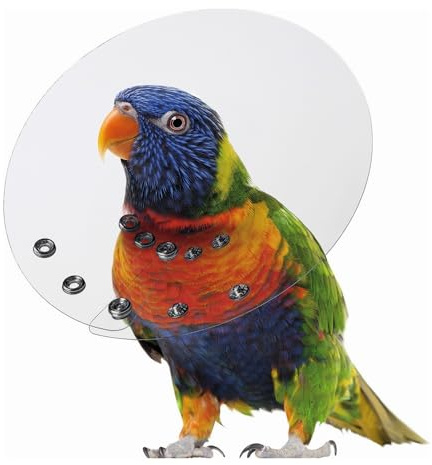 KVP Bird E-Collar, 2.75-3.5/6