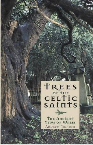 Trees of the Celtic Saints - the Ancient Yews of Wales by Andrew Morton (2009-10-28)