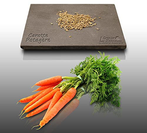 500 graines à semer - Le Grenier d'Abondance - CAROTTE Nantaise Améliorée 3 - Daucus Carota