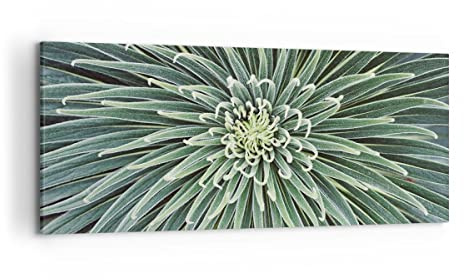 ARTTOR Bilder auf Leinwand 120x50cm Wandbild Botanik Blumen - 4905 | Agave Grün Pflanze Panorama Groß Wanddekoration Wohnzimmer Schlafzimmer Wanddeko Wand Kunstdruck Wandkunst Wall Decor ARTTOR