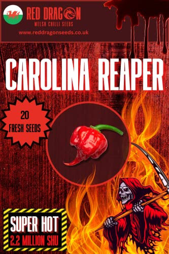 Carolina Reaper Chilli Seeds - Red Reaper Pepper Seeds - Worlds Hottest Chilli Seeds - Red