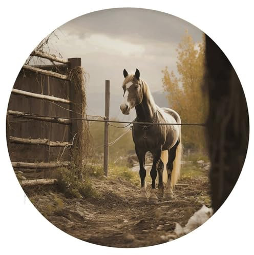 BWQMNT Seat Cushion Round Chair Cushions Floor Pillows Fence and Horse Memory Foam Stool Cushion Pad for Living Room Balcony Meditation