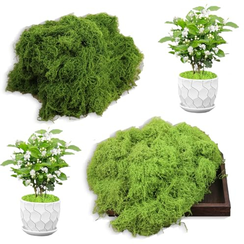 Musgo Artificial 100 G Para Decoración, Decoración Con Musgo Artificial, Musgo Artificial Para Manualidades, Decoración Con Musgo Artificial, Musgo Artificial, Verde Oscuro 50 G + Verde Claro 50 G