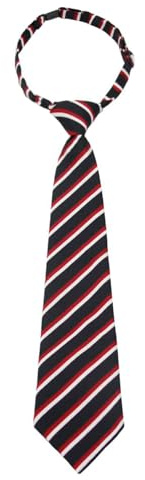 Mantieqingway School Ties for Boys/Kids, Pre-tied Adjustable Neckties Boys Tie for Graduation Uniforms Party Casual(Age 5-12)
