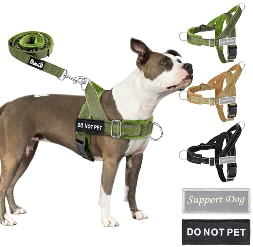 Eyein Hundegeschirr mit Leine für große mittelgroße Hunde, Weich gepolsterter Brustgeschirr mit 2 Leinenclips, Reflektierend & Leichtgewicht Anti Zug Geschirr für Spaziergänge Training, Grün, M | Anti-Zug Brustgeschirr mit 2 D-Ringen für Training & Spaziergänge, reflektierend, verstellbar an Hals & Brust (Grün, M)