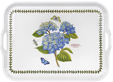 Primula Rossa Hortensia BG Vassoio con Impugnatura