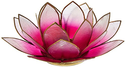 Find Something Different Lotus Teelichthalter Capiz-Muschel – Hellrosa