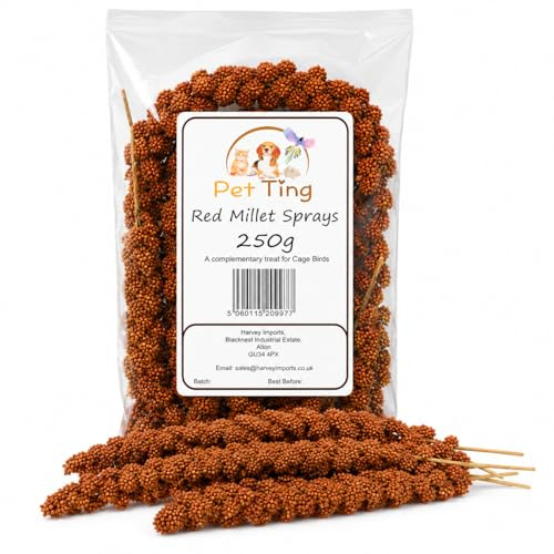 Pet Ting French Red Millet Sprays 250g - Bird, Parrots and Small Animal Treat