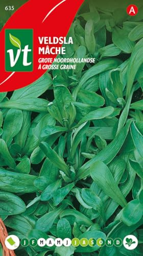 Lamb's Lettuce Seeds per Gram - Large Leaves, Rich in Minerals and Vitamins - 4 g - Seeds per Gram: 500
