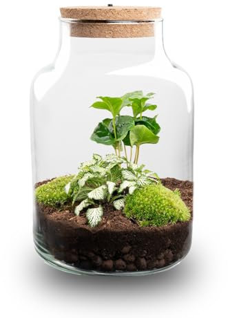 Terrario de Plantas • Little Milky + lámpara LED • Planta ecosistema • ↑ 25 cm
