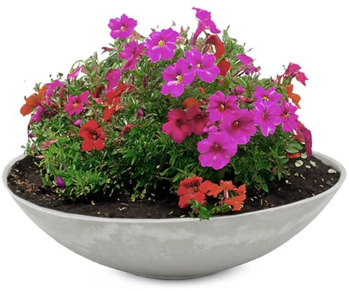 matches21 Bac à plantes résistant aux intempéries pour l'extérieur – Grand bol décoratif gris marbré comme bac à fleurs – Bac de jardin plat de 45 cm pour fleurs, bonsaï ou cimetière