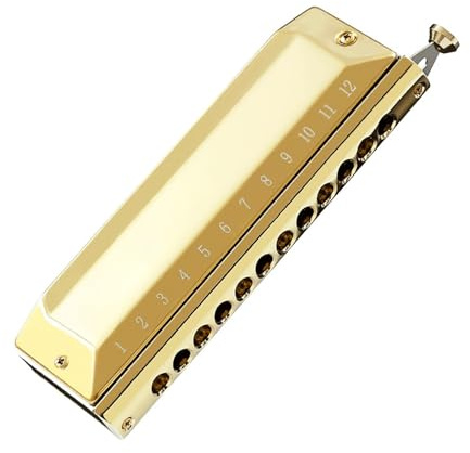 Erwachsene Mundharmonika Chromatische Mundharmonika 12 Löcher 48 Noten C-Tonart fortgeschrittene professionelle Leistung Anfänger(Gold)