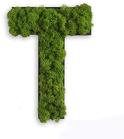 styleGREEN Piktogramm: Buchstabe T Islandmoos