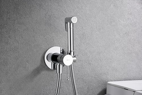 Mice RDG053 Einhebelmischer für Bidet, aus Messing, hygienische Dusche, Unterputz, Einhebelmischer, Bidet, silberfarben