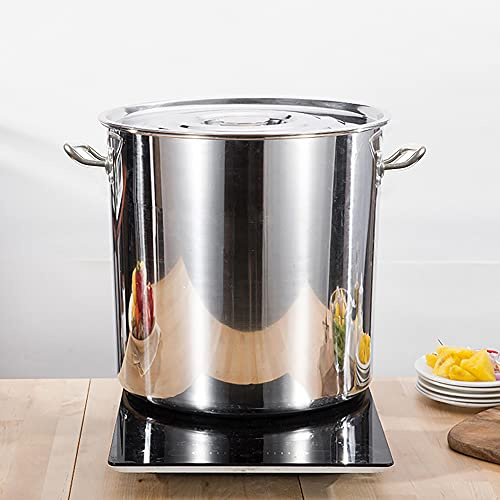 MEELRYD - Casseruola, grande pentola in acciaio inox con coperchio, pentola a induzione, pentole, pentola in acciaio inox per tutti i piani cottura, 70 l