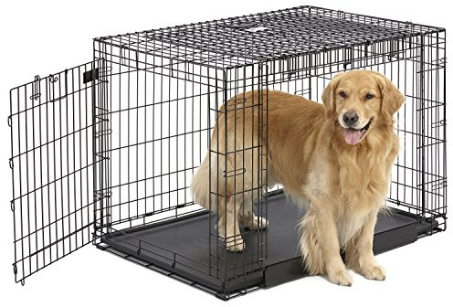 MidWest Homes for Pets - Ovation Hundekäfig mit Doppeltür, 106 cm, klappbar, aus Metall, Fronttür und „Up & Away“-Seitentür, platzsparendes Design, große Rassen