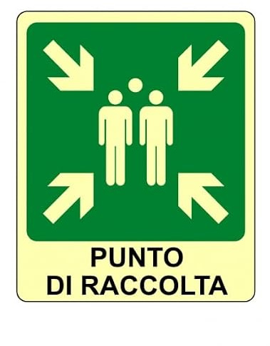 SEGNALETICA LUMINESCENTE - Punto di raccolta - Adesivo Luminescente O Pannello Rigido Luminescente (PANNELLO RIGIDO 30X42 CM)