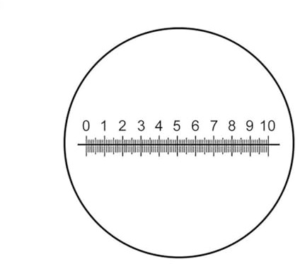 Mikroskop Mikroskop-Mikrometer, Durchmesser 23 mm, optisches Okular, Skala, Kalibrierung, Kreuzlineal, Mikroskop-Vision-Instrument, optisches Glas(MS-1-C6)