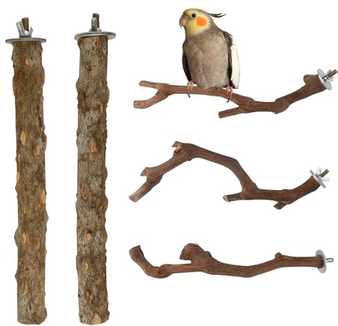 Perched Perches | 5 stycken interaktiva träpinnar - sittpinnar | för fågelbur: Conures, balsitter, vågiga parakiter med halsband