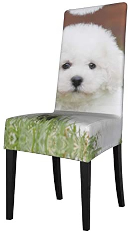 LOUJIN Bichon Frise - Coprischienale per sedia da pranzo, morbido, confortevole.