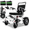 Bueuwe 35KM lange Reichweite Rollstuhl Elektrisch Faltbar, Elektrischer Rollstuhl für Erwachsene, All-Terrain-Rollstühle, 500-W-Motoren,zwei Batterien, Sitzende Breite 45cm