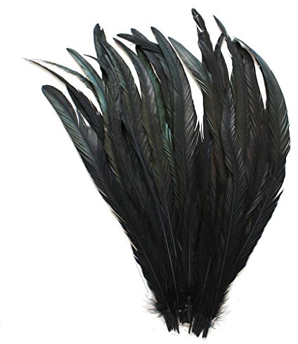 ERGEOB Echte Hahnenfedern in 30-35cm (12-14 Zoll) Länge - Ideal für Faching/Karneval, Kostüme, Hüte, Basteln, Zuhause Dekoration, DIY, Schwarz 20 Stück