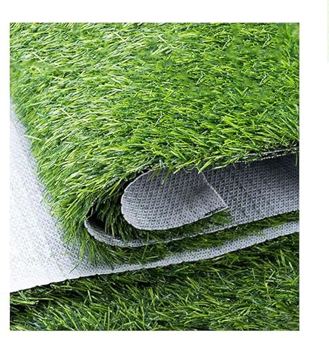 RUANLOV Rasen für Balkon, Premium Kunstrasen, Garten-Rasen, Rasenteppich, Rollrasen, Kunststoffrasen, für Hunde Indoor Outdoor (Höhe:25mm) (2x10m/6.6x32.8ft)