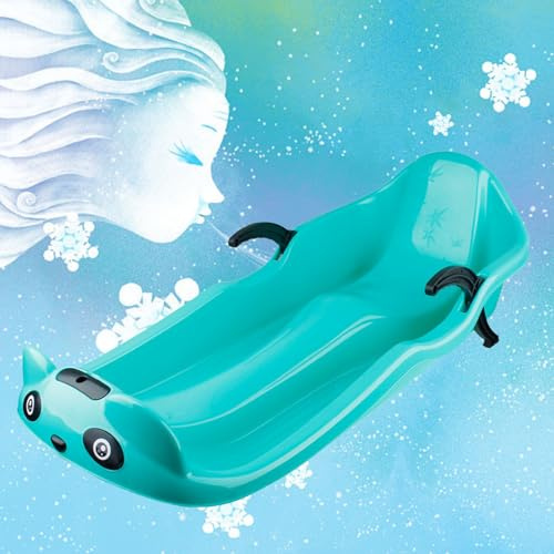 Kids Snow Sled, Sleds for Snow with Pull Ropes Happy Children's Sledding, Children's Double Sled with Backrest, Plastic Sled with Double Armrest Brake and 2 Handles