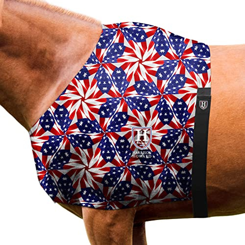 Harrison Howard Atmungsaktives, elastisches Schulterschutz-Lätzchen für empfindliche Haut, leicht, bequeme Passform, US-Flagge, Prisma, Größe M