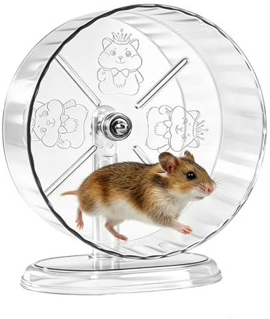 Dengthrive 24cm Silent Hamster Wheel Syrian Large Hamster Wheel Acrylic | Transparent Dwarf Hamster Wheel with Double Bearings Simulate Natural Runnin for Dwarf Syrian Hamsters Gerbil Chinchilla