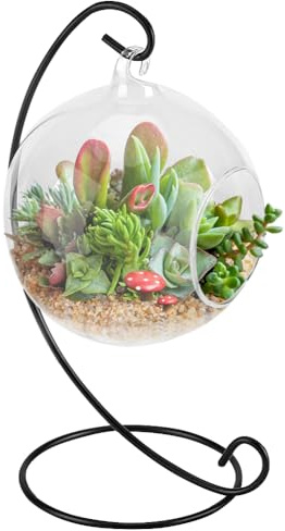 Kit de terrarium pour plantes aériennes avec support, vase en verre à suspendre avec décoration en métal, terrarium en verre pour plantes aériennes, plantes succulentes, petites plantes