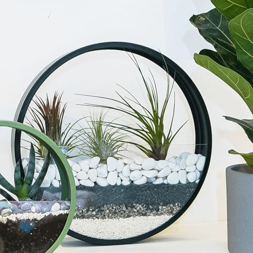 VELLES Steine Kleine Kieselsteine Weiße Dekosteine für Vasen - Deko Aquarium Steine Weiß Kiesl zum Basteln Zierkies Gartensteine Gartendeko Weisse Steine Garten Stein Aquarienkies - 1,9kg
