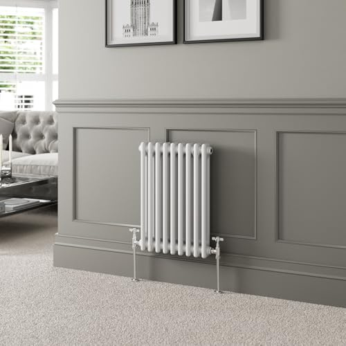 DuraTherm® 600 x 425mm White Traditional Horizontal Designer Radiator Double Column Colosseum Cast Iron Style Central Heating Panel Radiators Rad