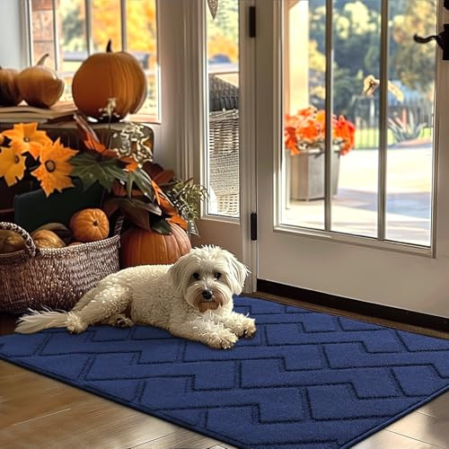 Biscpro Teppich Läufer,80x120cm Waschbarer rutschfest Schmutzfangmatte Teppich läufer für Eingangsbereich Wohnzimmer,Flur,Büro,Schlafzimmer,Küchen-Blau