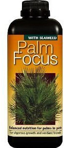 Advanced Nutrition Palm Focus - Growth Technology - 1L - Quick -