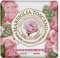 NESTI DANTE Marsiglia Toscano, Rosa Centifolia Soap 250 g