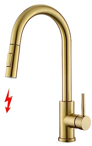 Tohlar Niederdruck Armatur Küche Gold, Niederdruck Wasserhahn Küche mit Ausziehbare Brause, Mischbatterien für Küche Moderner Edelstahl Spültischarmatur