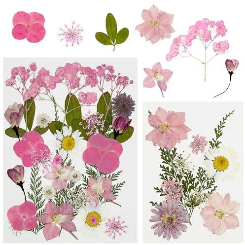 Cayway 40 Pz Naturali Pressati Fiori Pressati Secchi, Rosa Foglie Pressate Naturali per Resina, Fiori Secchi Veri Pressati Fiori per Scrapbooking, Gioielli in Resina Epossidica