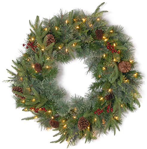 National Tree Company 24 in Pre-Lit Colonial Fir Artificial Christmas Wreath, Christmas Decoration with Red Berries, Pinecones, 50 LED Lights, 175 Tips, 10 Light Functions, Timer, Green