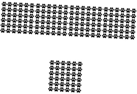 DOITOOL 5 Sätze Wandtattoo Hund Pfote Brief Kinderzimmer Kinderzimmer Wanddeko Wandpolsterung Aufkleber Wandtattoos Pfotenabdruck-wandkunst Pvc Black 49 Stück * 5
