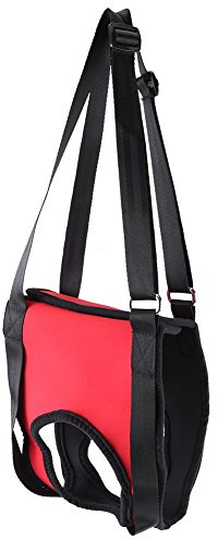 GLOGLOW 2 Arten Front & Rear Dog Support Harness, Wiederverwendbare Gehhilfe Unterstützung Hebe Pulling Vest für Alte & Verletzte Hunde(Vorderbein L)