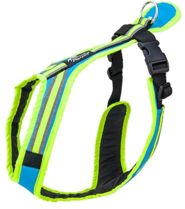 Safety Führ- und Zuggeschirr | Mantrailing | Canicross | Zughundesport | Alltagsgeschirr | Führgeschirr (Türkisblau-Neongrün, S - 14-17 Kg)