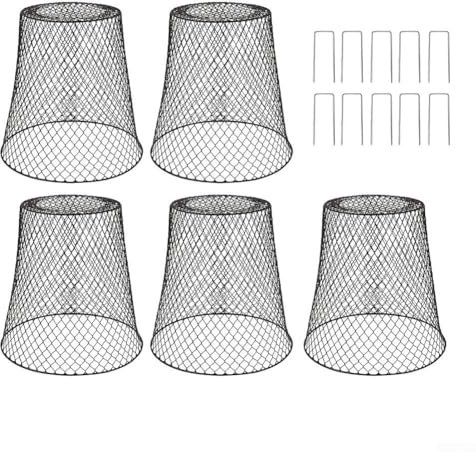 Cubiertas de hierro para plantas con estacas, juego de 5 piezas para protección al aire libre contra el clima y la intrusión animal (negro)