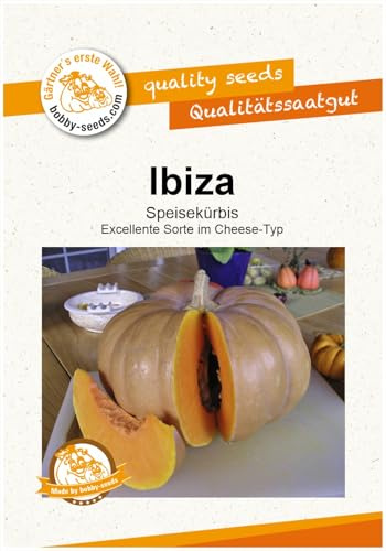 Ibiza Kürbissamen von Bobby-Seeds, Portion