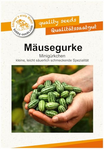 Ziergurkensamen Mexikanische Mäusegurke Melothria Portion