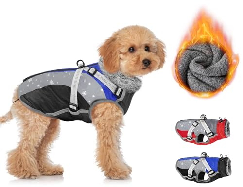 Eyein Hundemantel Winter, Wasserdichter Fleece Hundejacke mit Geschirr für kleine, mittlere und große Hunde, reflektierende Winddichter Welpenweste für Spaziergänge im Freien (Blau, XS)
